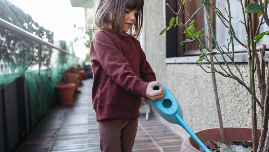 Grădina minimalistă – când mai puțin înseamnă mai mult